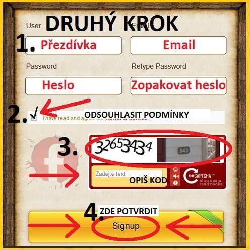 Hraní her za peníze, výdělek na internetu